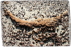 Bisti Colors